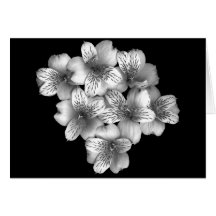 Floral Note Card of Silver Posy