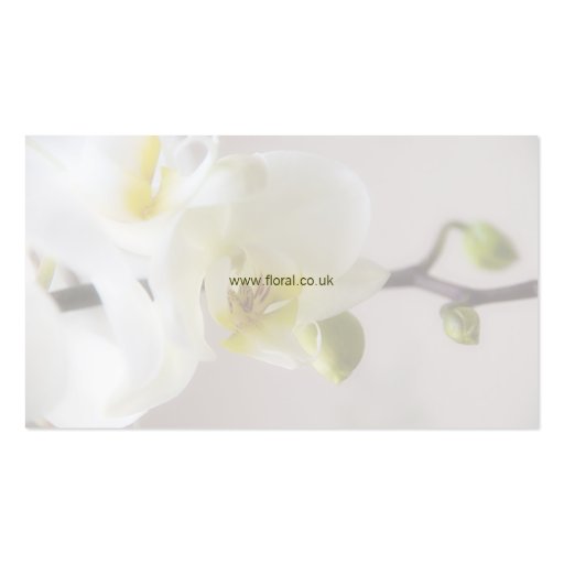 Floral - Orchid Business Card (back side)