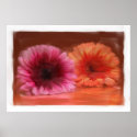 Floral Painting on Canvas posters