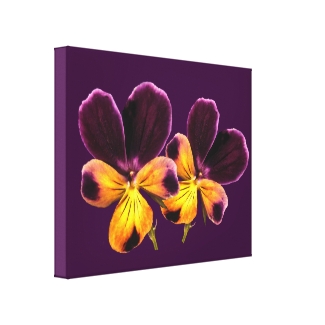 Floral Pansies Yellow Purple Flowers Canvas Print