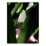 Floral Pastel Canvas Posters