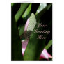 Floral Pastel Cards