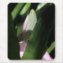 Floral Pastel Mouse Pad