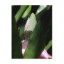 Floral Pastel Post Card