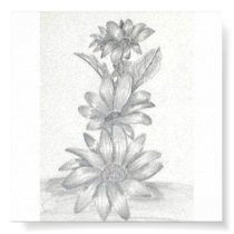Floral Pencil Drawing posters
