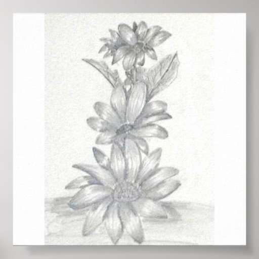 Floral Pencil Drawing Poster | Zazzle