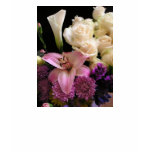 Floral Photo Apparel by Leslie Harlow t-shirts