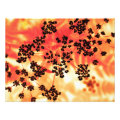 floral photoenlargement