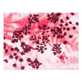 floral photoenlargement