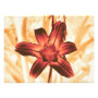 floral photoenlargement