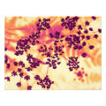 floral photoenlargement