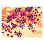floral photo print