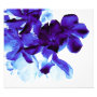 floral photoenlargement