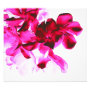 floral photoenlargement