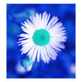 floral photoenlargement