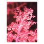 floral photoenlargement