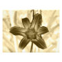floral photoenlargement