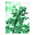 floral photoenlargement
