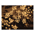 floral photoenlargement