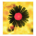 floral photoenlargement