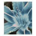 floral photoenlargement