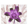 floral photoenlargement