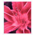 floral photoenlargement