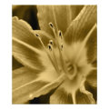 floral photoenlargement