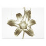 floral photoenlargement
