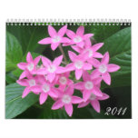 Floral Photography 2011 Calendar