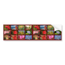 Floral photography bumper sticker