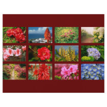 Floral photography flyers
