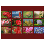 Floral photography flyers
