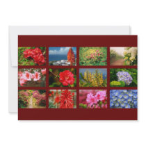 Floral photography custom invites