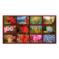 Floral photography