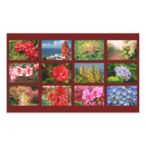 Floral photography stickers