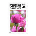 Floral Pink Rose Postage postage