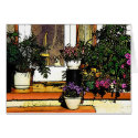 Floral Porch cards