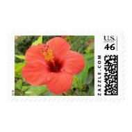 Floral Postage Stamp stamp