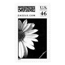 floral postage stamp
