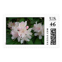 Floral Postage Stamps