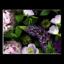 Floral Postcard postcards