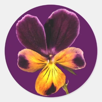 Floral Purple Yellow Johnny Jump Up Flower Sticker