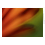 Floral Shades Card