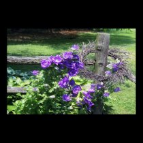 Floral Split Rail Fence Poster posters