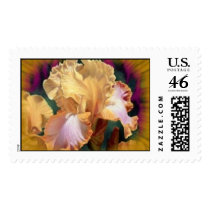 Floral Stamps