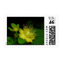 Floral stamps