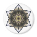 Floral Star of David magnets