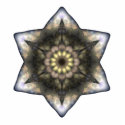 Floral Star of David photo sculptures