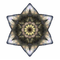 Floral Star of David photo sculptures by JaZilla Floral Star of David photo sculptures